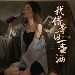 Download track 我借李白一壶酒 (Dj陌梦版) 李小贝Mo Meng