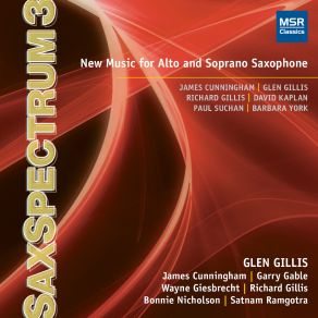 Download track Cosmic Suite For Alto Saxophone, Didgeridoos And Electroacoustics: VIII. Black Hole Glen Gillis