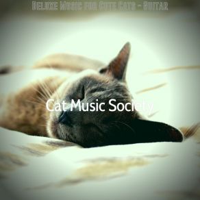 Download track Astonishing Ambience For Cats Cat Music Society