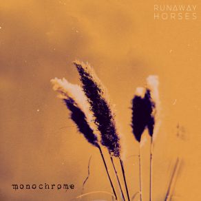 Download track Monochrome Runaway Horses