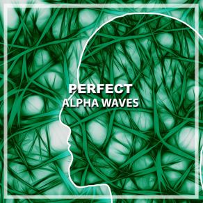 Download track Serene Sleep With Delta Waves White Noise For Deeper Sleep