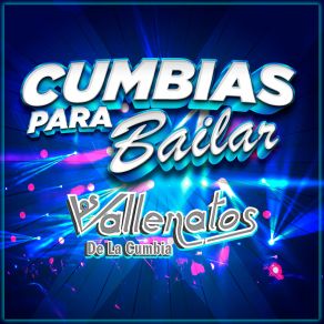 Download track Sal Y Agua Los Vallenatos De La Cumbia