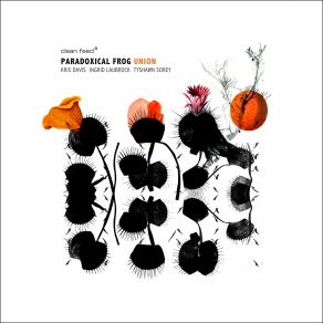 Download track Second Strike Paradoxical Frog