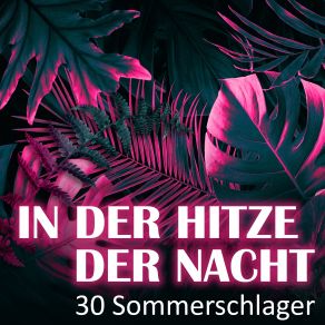 Download track Mit Dir Durch Den Sommer Albin Berger