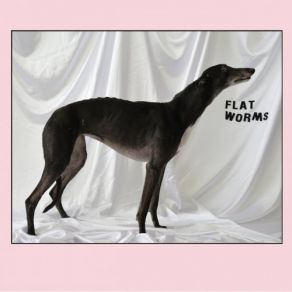 Download track Fault Line Flat Worms