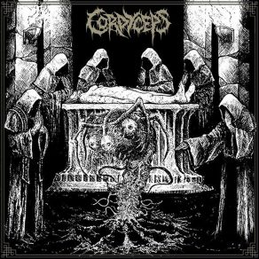 Download track Shattered Remains Cordyceps