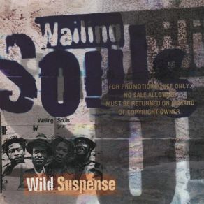 Download track Something Funny The Wailing Souls