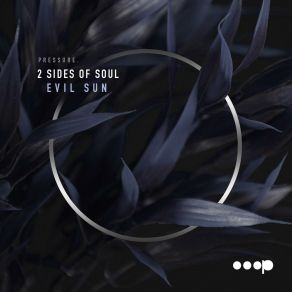 Download track Evil Sun (Fabian Argomedo Remix) 2 Sides Of Soul