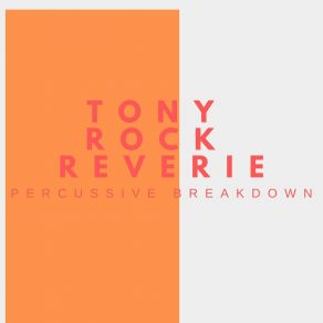 Download track Acoustic Vibe Tony Rock Reverie