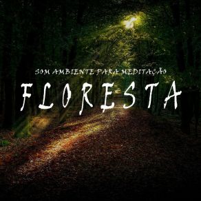 Download track Som Ambiente Para Meditação: Floresta, Pt. 01 Oasis Relaxamento