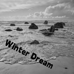 Download track Winter Dream Steven Macmillan