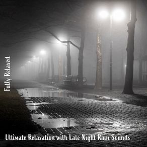 Download track Ultimate Relaxation With Late Night Rain Sounds, Pt. 10 Steve Brassel