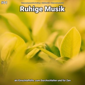 Download track Ruhige Musik Pt. 37 Entspannungsmusik