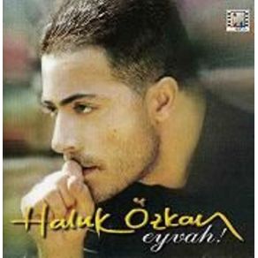 Download track Gece Gelen Konuk Haluk Özkan