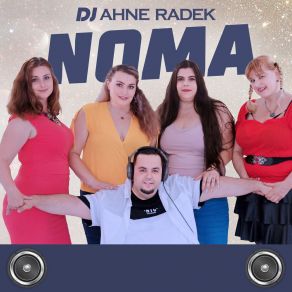 Download track Dance Mania DJ Ahne Radek