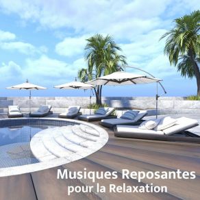 Download track Piano Méditation Et Relaxation Totale Musique CalmeRelaxation Totale