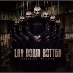 Download track Century Of Exploitation Lay Down Rotten