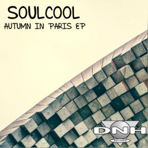 Download track Chicago Vibes Soulcool