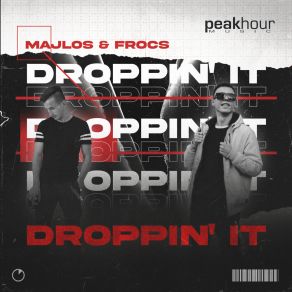 Download track Droppin It (Original Mix) FROCS