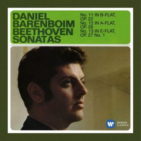 Download track Beethoven: Piano Sonata No. 11 In B-Flat Major, Op. 22: IV. Rondo. Allegretto Daniel Barenboim
