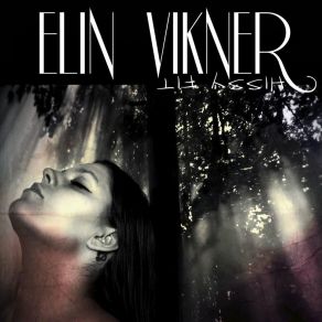 Download track Goodbye Elin ViknerMagnus Lundkvist