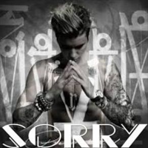 Download track Sorry (Craigwelsh Remix) Justin Bieber