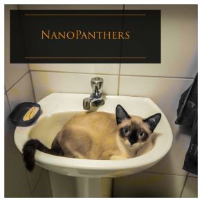 Download track Lofi Bossa NanoPanthers