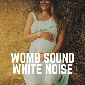 Download track Sleep Better At Night Sounds, Pt. 23 Womb Sounds