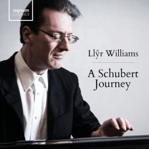 Download track Schwanengesang Von Franz Schubert, S. 560: VI. In Der Ferne Llyr Williams