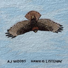 Download track Wind On A Wildfire AJ Woods