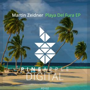 Download track Playa Del Fura Martin Zeidner