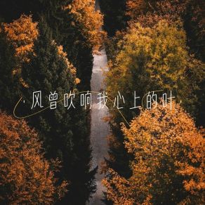 Download track 风曾吹响我心上的叶 (伴奏) 林冰冰