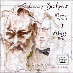 Download track Piano Trio No. 1 In B Major, Op. 8 (First Version): I. Allegro Con Moto Abegg Trio, Gerrit Zitterbart, Birgit Erichson, Ulrich Beetz