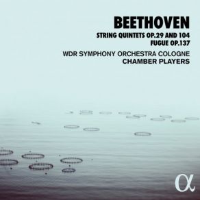 Download track String Quintet In C Minor, Op. 104: IV. Finale (Prestissimo) WDR Symphony Orchestra Cologne Chamber Players