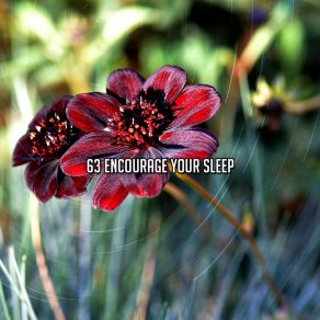 Download track Fantasy Of Sleep Sounds Of Nature Relaxation