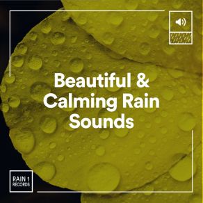Download track Beautiful & Calming Rain Sounds, Pt. 30 Rainfall