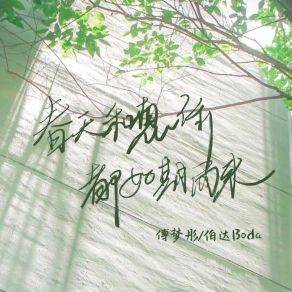 Download track 春天和想你都如期而来 伯达Boda