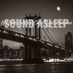 Download track Ny Lower East Side Calm Night Ambience, Pt. 3 Elijah Wagner