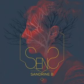 Download track Faut Voir Du Beau Sandrine B