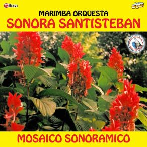 Download track Sergio El Bailador Marimba Orquesta Sonora Santisteban