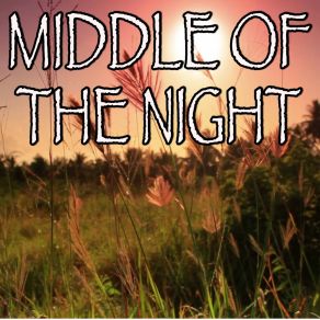 Download track Middle Of The Night - Tribute To The Vamps And Martin Jensen (Instrumental Version) Billboard