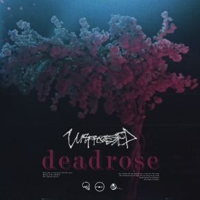 Download track Deadrose Unprocessed