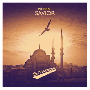 Download track Savior (Radio Edit) Mr. Priese