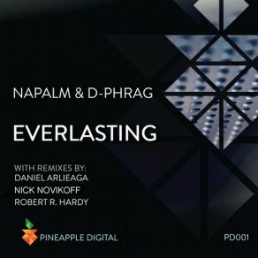 Download track Everlasting (Daniel Arlieaga Remix) Napalm