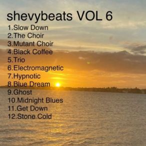 Download track Electromagnetic Shevy