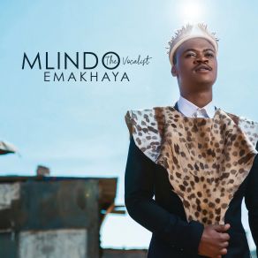 Download track Egoli Mlindo The VocalistSjava