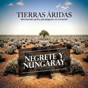 Download track Verte Nungaray