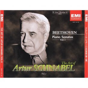 Download track Klaviersonate Nr. 19 G-Moll, Op. 49 Nr. 1: I. Andante Ludwig Van Beethoven