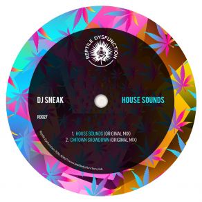 Download track House Sounds DJ Sneak