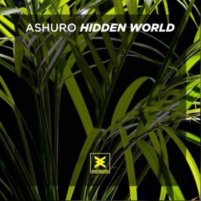 Download track Hidden World Ashuro